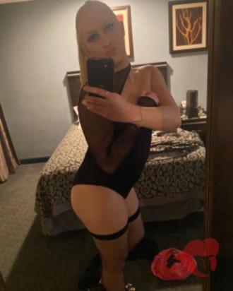 Photo 26869