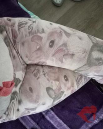 Photo 28728