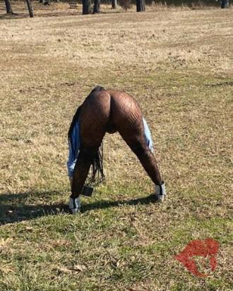 Photo 36382