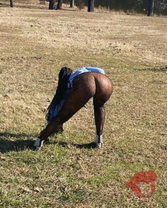 Photo 36384